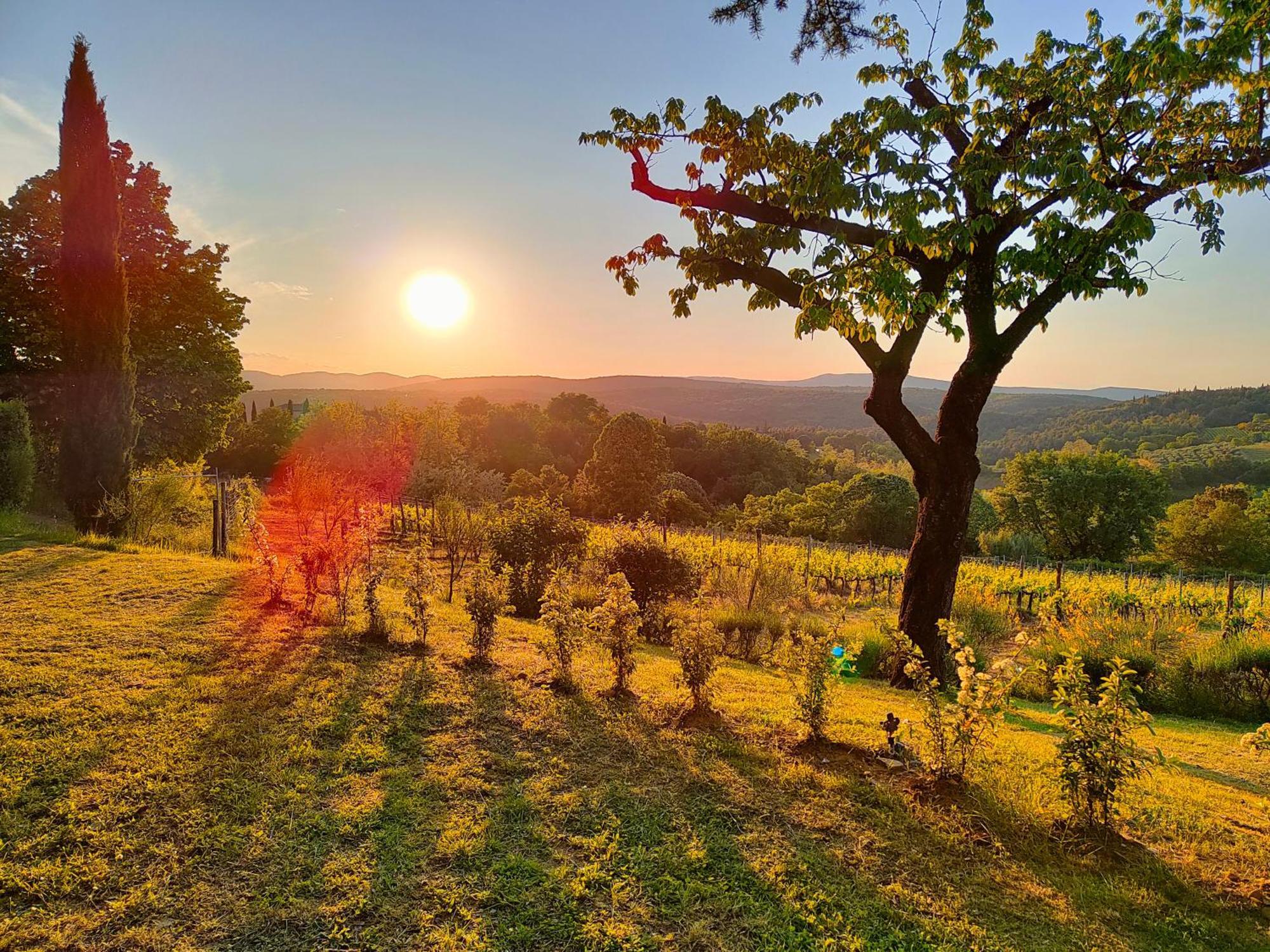 Borgo Villa Certano - Case Vacanza In Toscana Sienne Extérieur photo